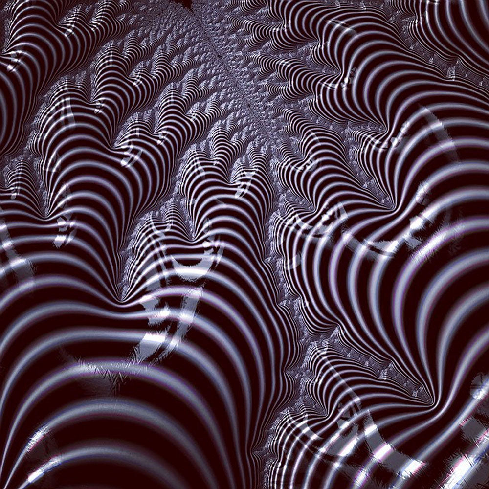 Digital product Black and White Spiral Fractal