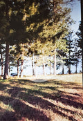 Digital product Castle Rock Lake 1992 No 2