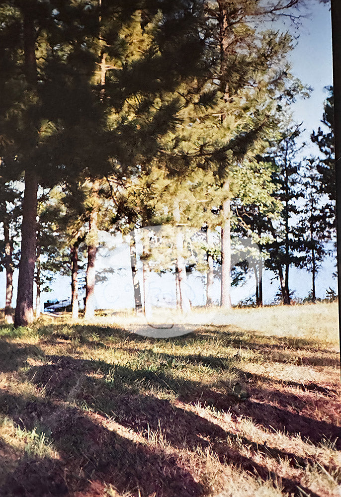 Digital product Castle Rock Lake 1992 No 2
