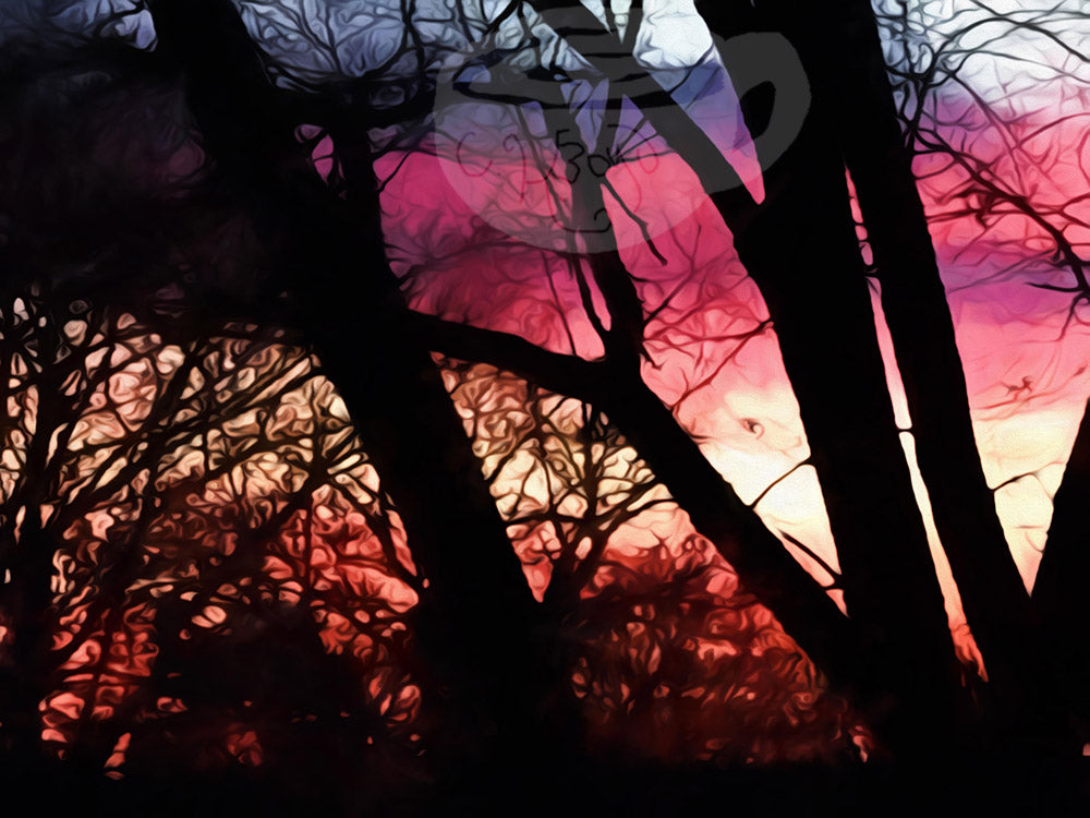 Digital product Fall Sunset Through The Trees