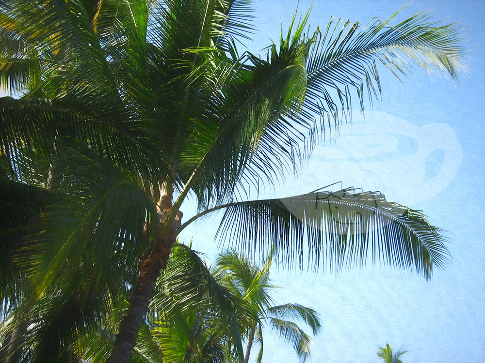 Digital product Hawaii No 6