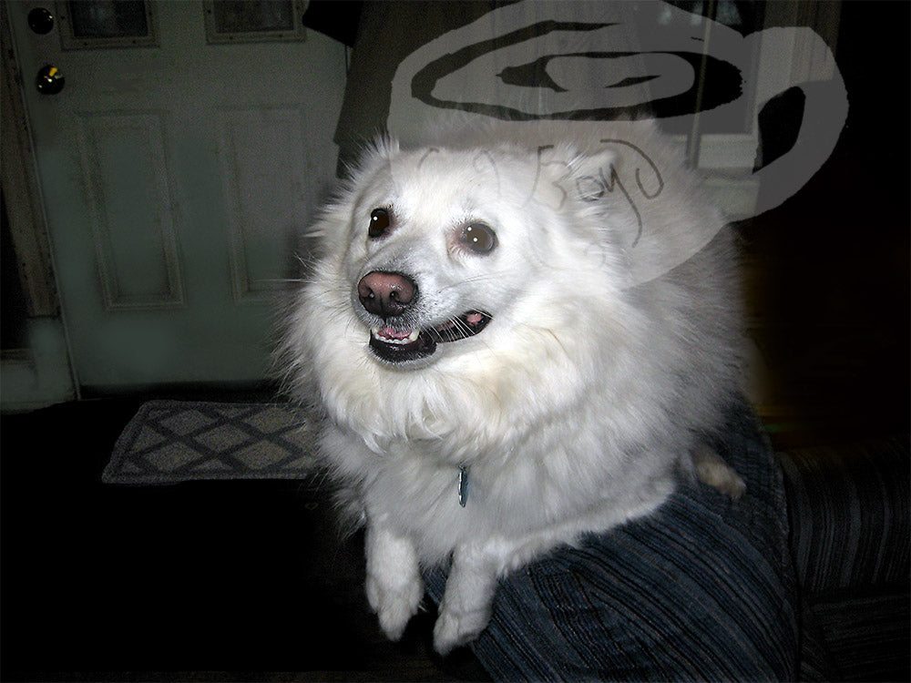 Digital product My Puppy 1