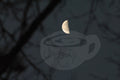 Digital product Moon Nov 2015. North America