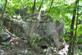 Digital Image Download Rocky Craggs