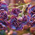Digital product Tie Dye Flowers 7